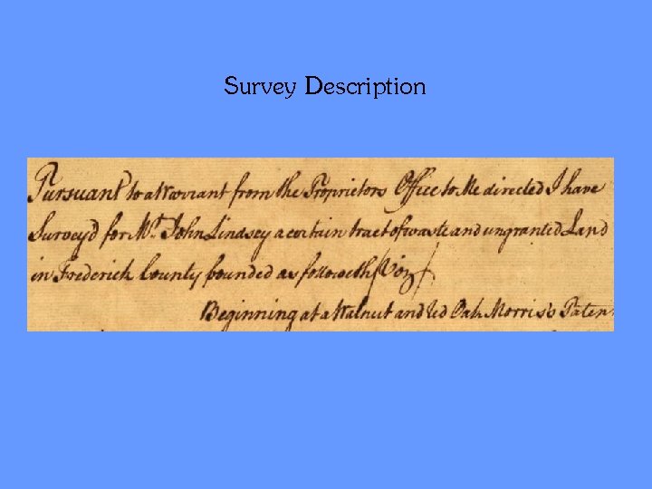 Survey Description 