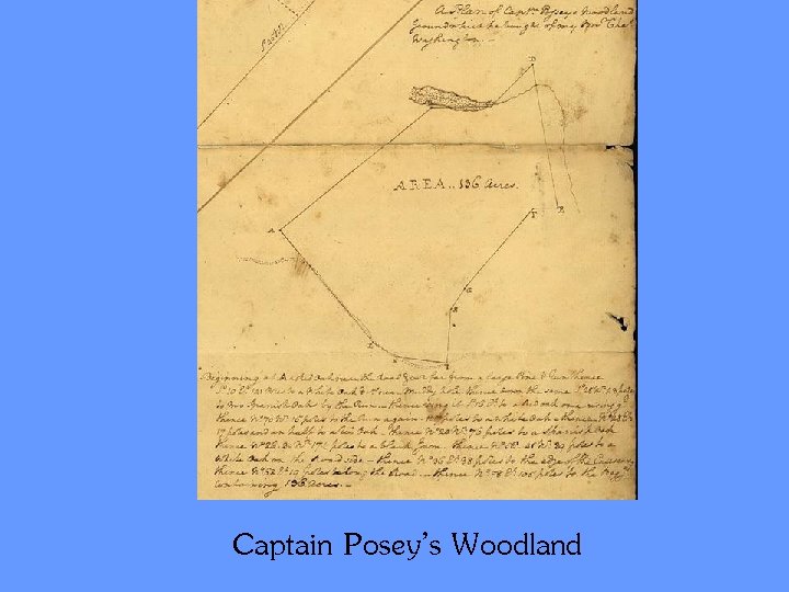 Captain Posey’s Woodland 