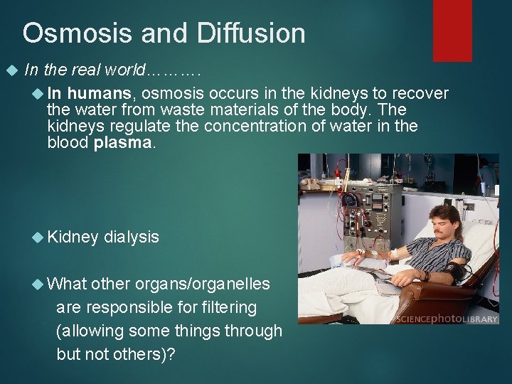 Osmosis and Diffusion In the real world………. In humans, osmosis occurs in the kidneys