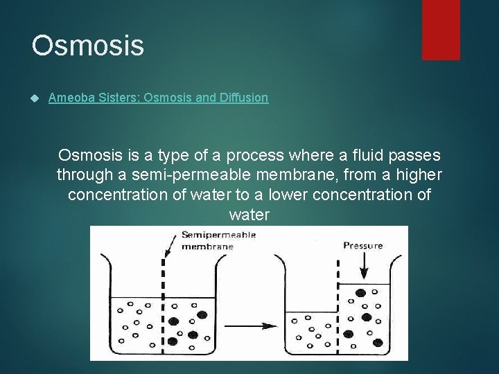 Osmosis Ameoba Sisters: Osmosis and Diffusion Osmosis is a type of a process where