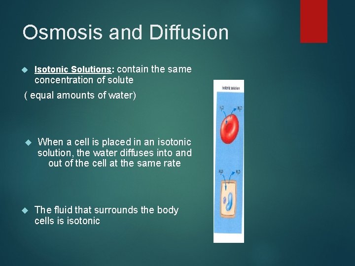 Osmosis and Diffusion Isotonic Solutions: contain the same concentration of solute ( equal amounts