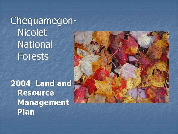 Chequamegon. Nicolet National Forests 2004 Land Resource Management Plan 