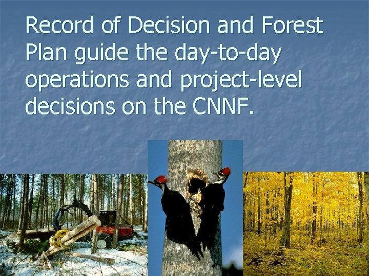 Record of Decision and Forest Plan guide the day-to-day operations and project-level decisions on