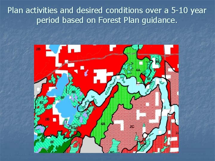 Plan activities and desired conditions over a 5 -10 year period based on Forest
