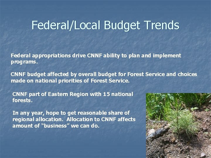 Federal/Local Budget Trends Federal appropriations drive CNNF ability to plan and implement programs. CNNF
