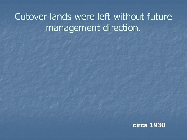 Cutover lands were left without future management direction. circa 1930 