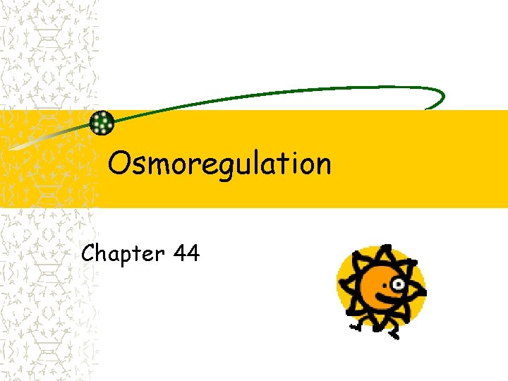 Osmoregulation Chapter 44 