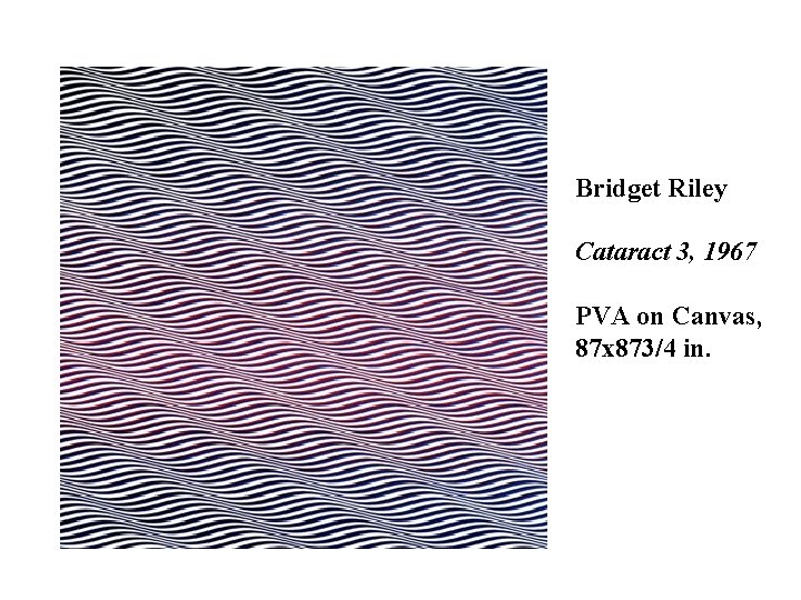  Bridget Riley Cataract 3, 1967 PVA on Canvas, 87 x 873/4 in. 