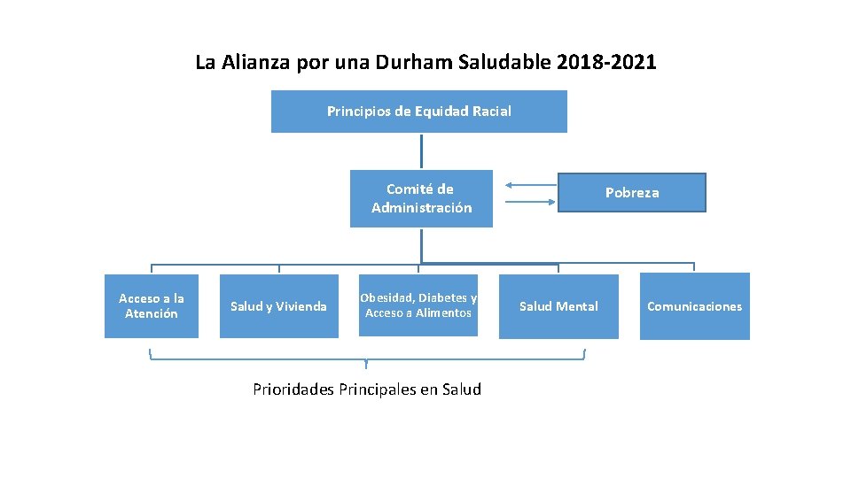 La Alianza por una Durham Saludable 2018 -2021 Principios de Equidad Racial Comité de