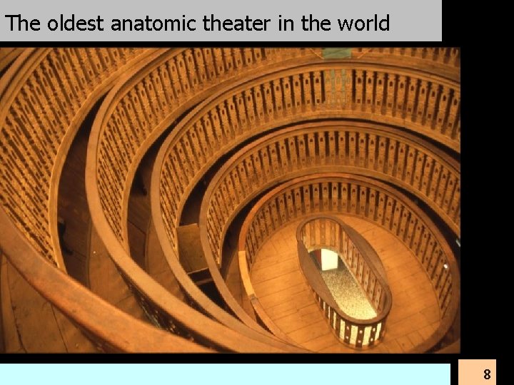 The oldest anatomic theater in the world University of Padova 8 