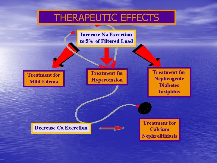 THERAPEUTIC EFFECTS Increase Na Excretion to 5% of Filtered Load Treatment for Mild Edema