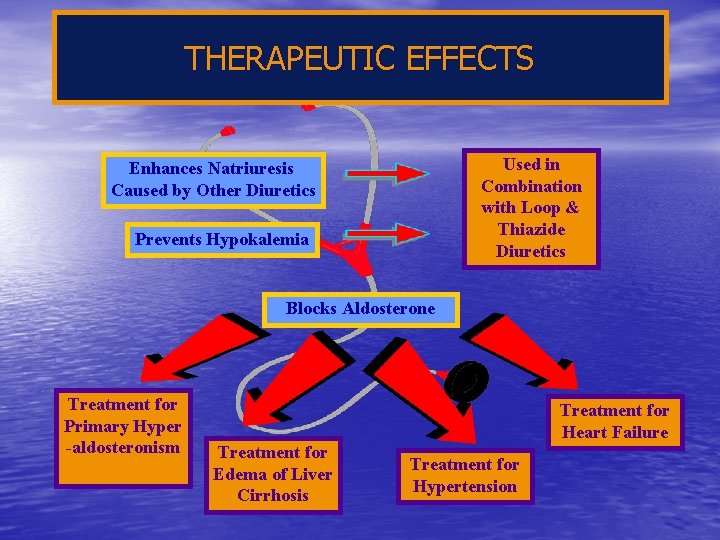 THERAPEUTIC EFFECTS Used in Combination with Loop & Thiazide Diuretics Enhances Natriuresis Caused by