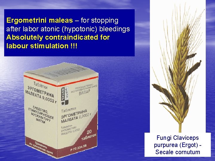 Ergometrini maleas – for stopping after labor atonic (hypotonic) bleedings Absolutely contraindicated for labour