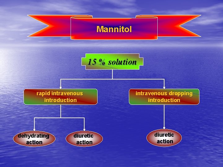 Mannitol 15 % solution rapid intravenous introduction dehydrating action diuretic action intravenous dropping introduction
