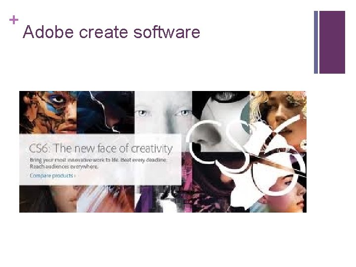 + Adobe create software 