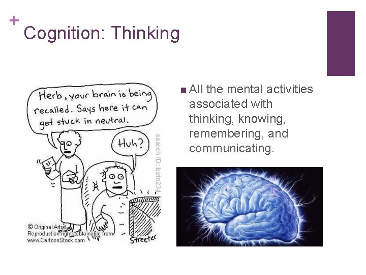 + Cognition: Thinking n All the mental activities associated with thinking, knowing, remembering, and