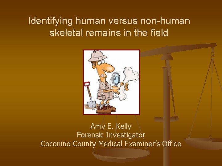 Identifying human versus non-human skeletal remains in the field Amy E. Kelly Forensic Investigator
