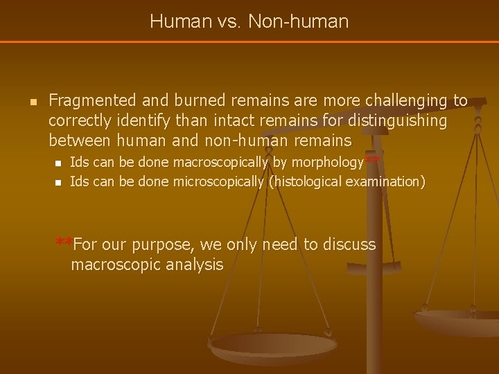 Human vs. Non-human n Fragmented and burned remains are more challenging to correctly identify
