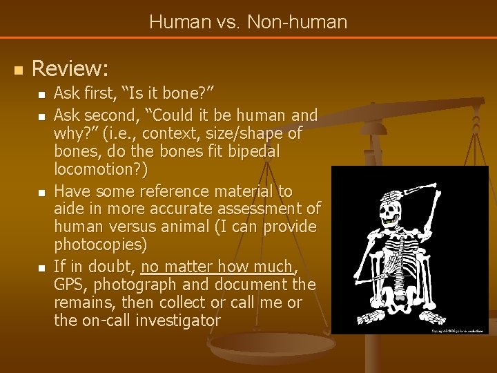 Human vs. Non-human n Review: n n Ask first, “Is it bone? ” Ask