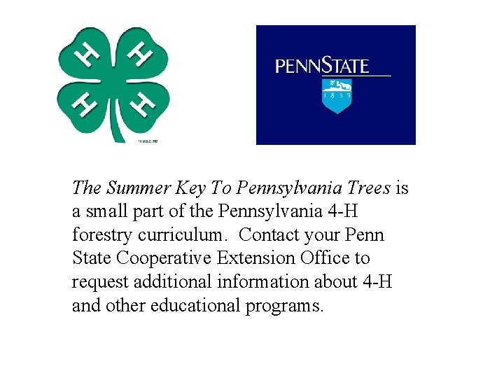 The Summer Key To Pennsylvania Trees is a small part of the Pennsylvania 4