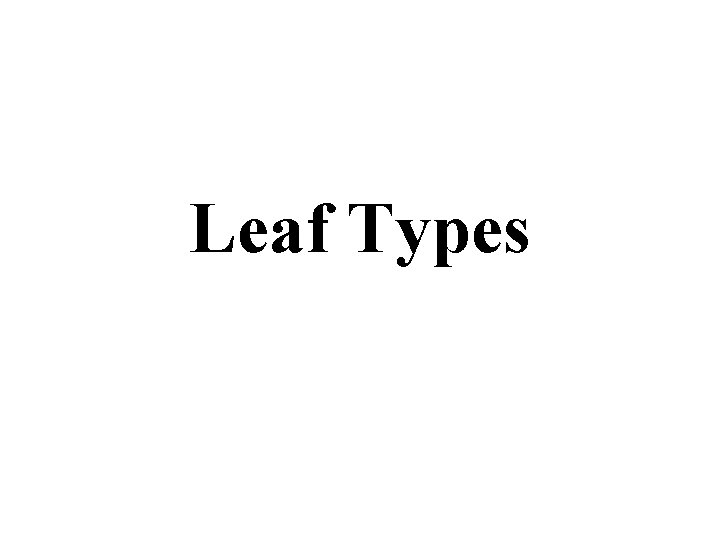 Leaf Types 