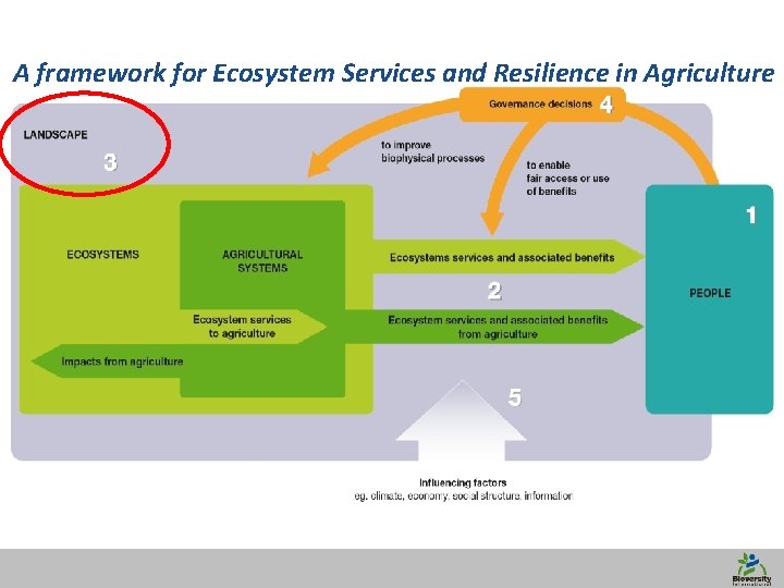 A framework for Ecosystem Services and Resilience in Agriculture 10 