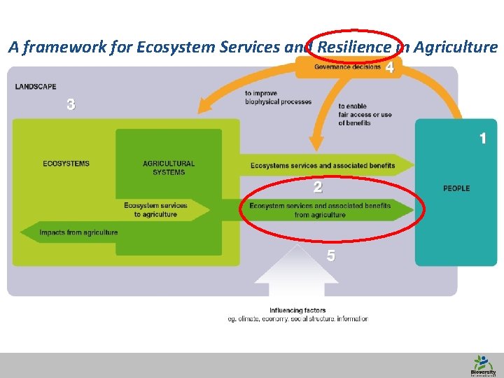 A framework for Ecosystem Services and Resilience in Agriculture 12 