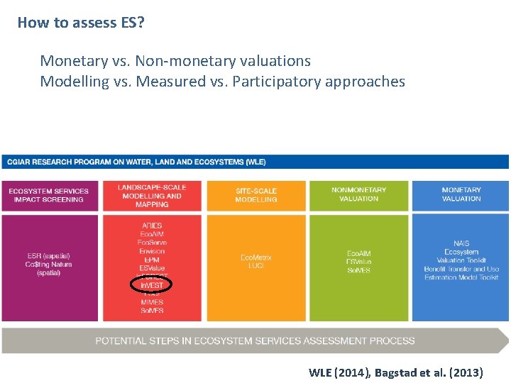How to assess ES? Monetary vs. Non-monetary valuations Modelling vs. Measured vs. Participatory approaches