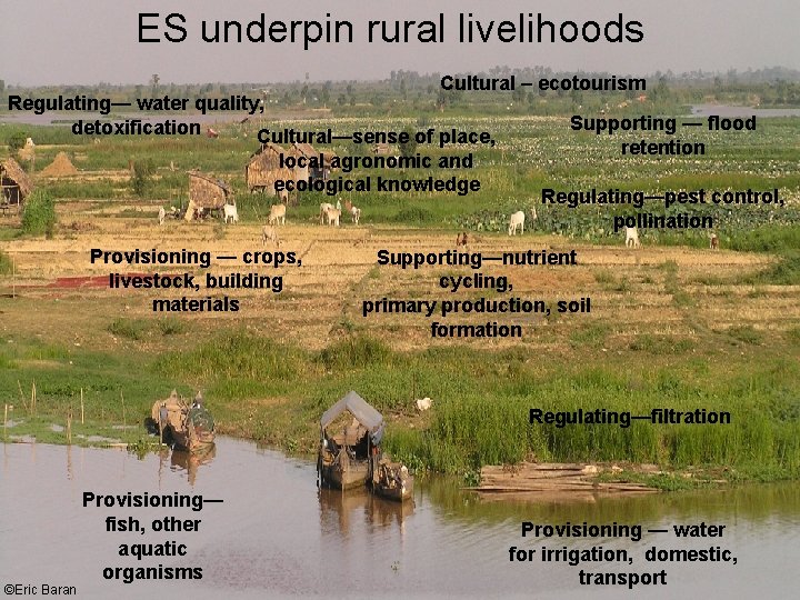 ES underpin rural livelihoods Cultural – ecotourism Regulating— water quality, detoxification Cultural—sense of place,