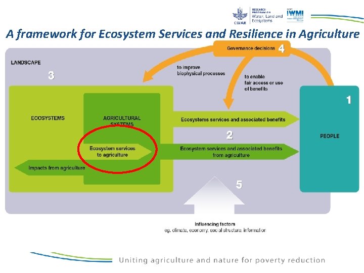 A framework for Ecosystem Services and Resilience in Agriculture A framework for Ecosystem Services and Resilience in Agriculture