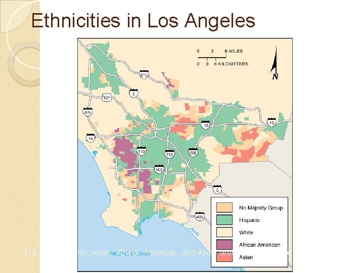 Ethnicities in Los Angeles Fig. 7 -6: Hispanic, white, African American, and Asian areas