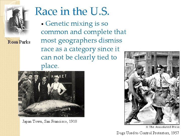 Race in the U. S. • Genetic Rosa Parks mixing is so common and