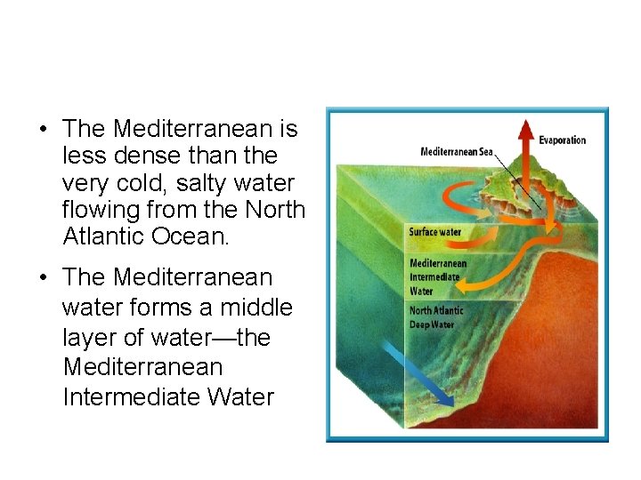  • The Mediterranean is less dense than the very cold, salty water flowing