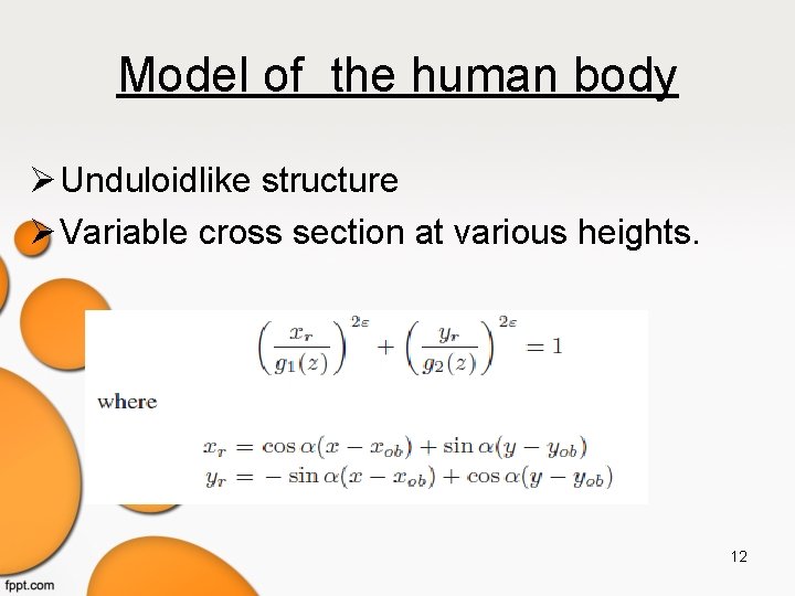 Model of the human body Unduloidlike structure Variable cross section at various heights. 12