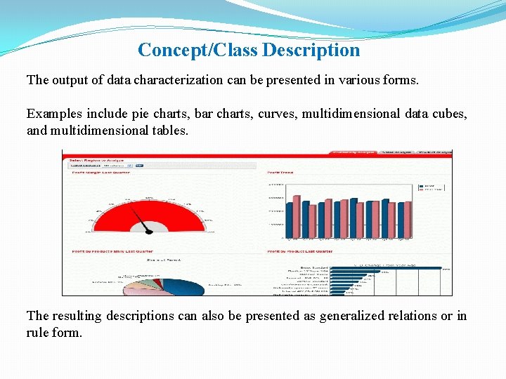 Concept/Class Description The output of data characterization can be presented in various forms. Examples