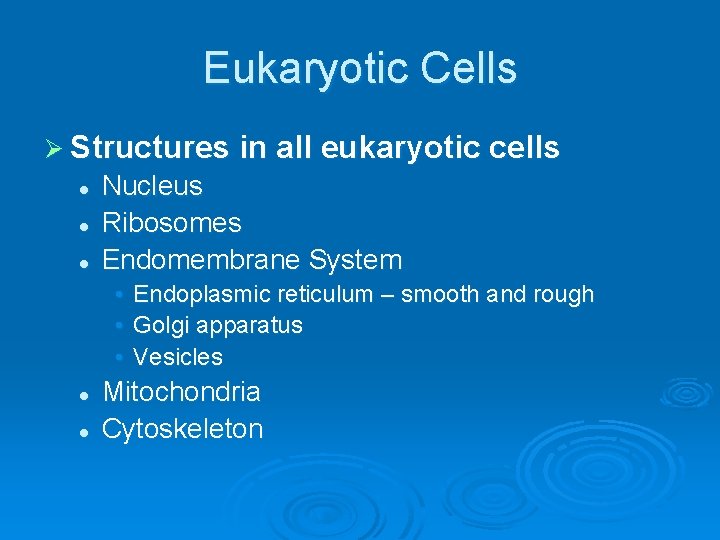 Eukaryotic Cells Ø Structures in all eukaryotic cells l l l Nucleus Ribosomes Endomembrane