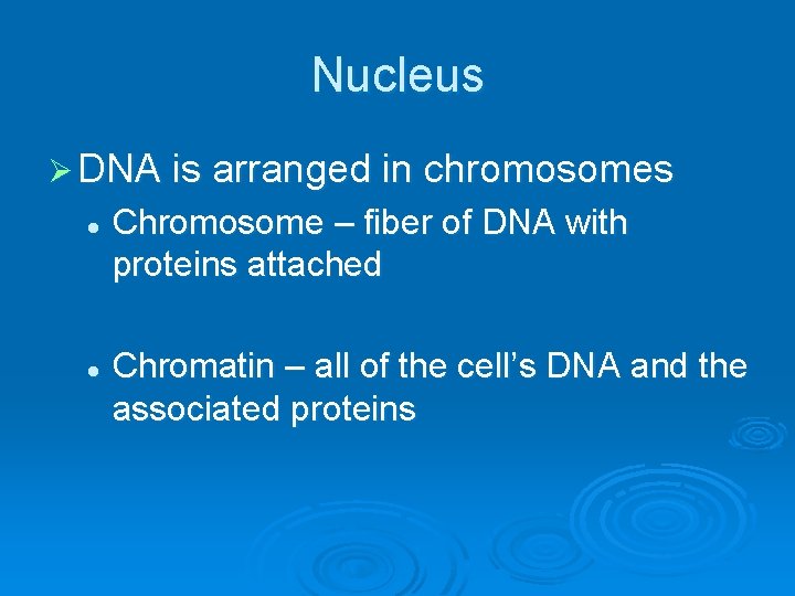 Nucleus Ø DNA is arranged in chromosomes l l Chromosome – fiber of DNA