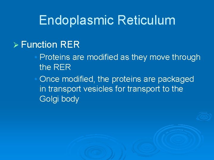 Endoplasmic Reticulum Ø Function RER • Proteins are modified as they move through the