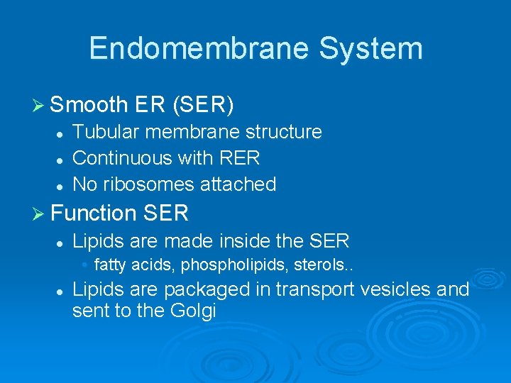 Endomembrane System Ø Smooth ER (SER) l l l Tubular membrane structure Continuous with