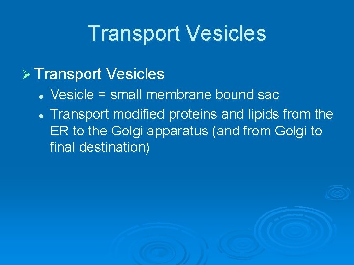 Transport Vesicles Ø Transport Vesicles l l Vesicle = small membrane bound sac Transport