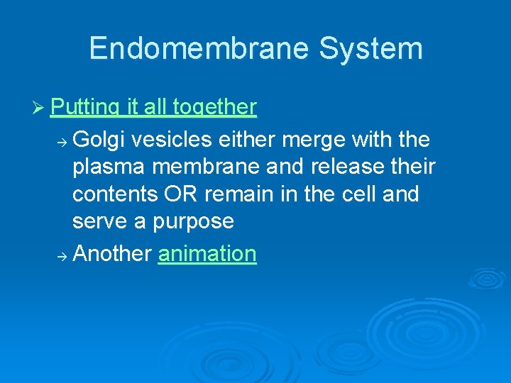 Endomembrane System Ø Putting it all together Golgi vesicles either merge with the plasma