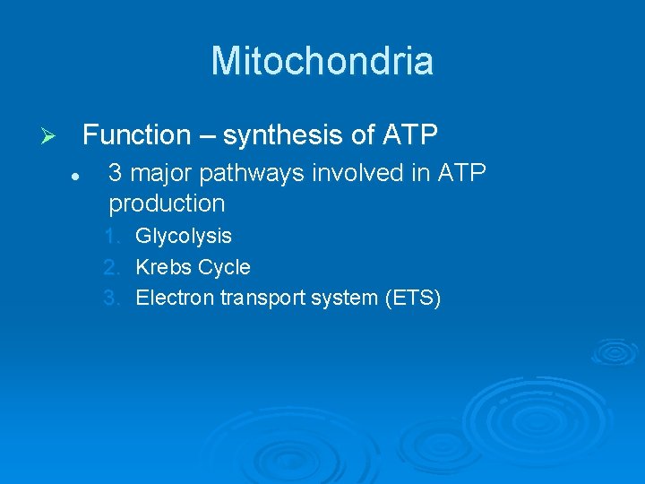 Mitochondria Function – synthesis of ATP Ø l 3 major pathways involved in ATP