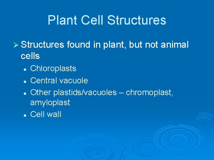 Plant Cell Structures Ø Structures found in plant, but not animal cells l l