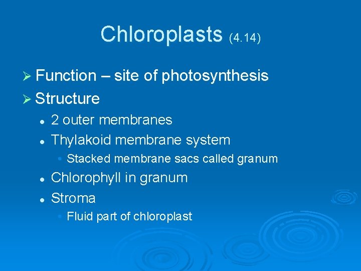 Chloroplasts (4. 14) Ø Function – site of photosynthesis Ø Structure l l 2