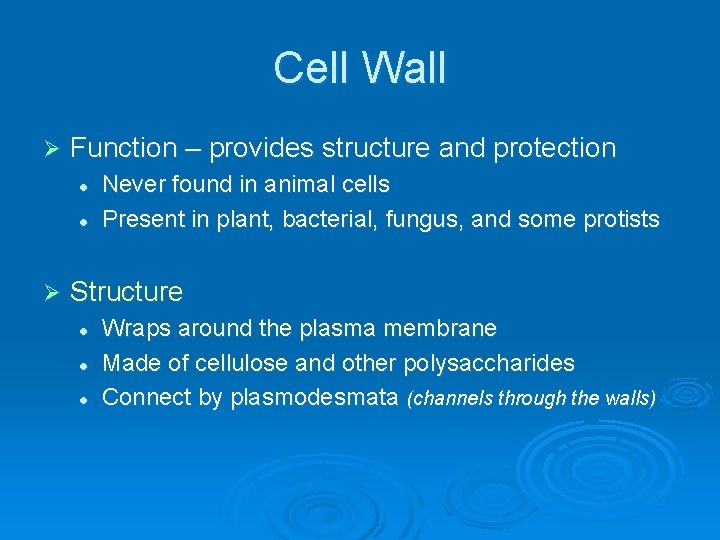 Cell Wall Ø Function – provides structure and protection l l Ø Never found