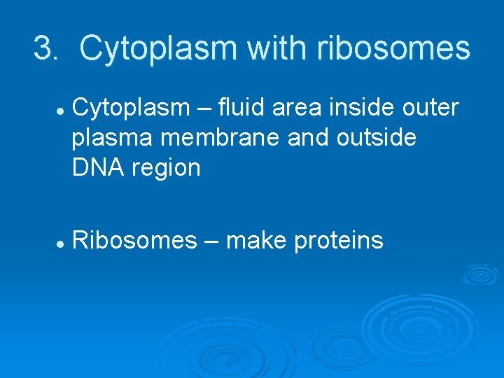 3. Cytoplasm with ribosomes l l Cytoplasm – fluid area inside outer plasma membrane