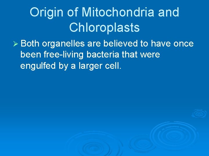 Origin of Mitochondria and Chloroplasts Ø Both organelles are believed to have once been