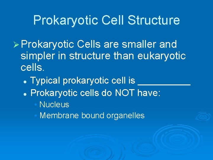 Prokaryotic Cell Structure Ø Prokaryotic Cells are smaller and simpler in structure than eukaryotic