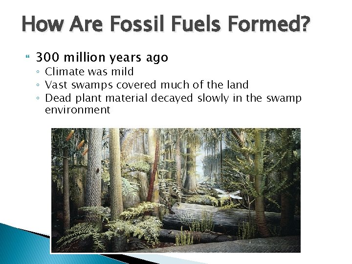 How Are Fossil Fuels Formed? 300 million years ago ◦ Climate was mild ◦