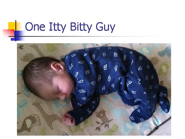 One Itty Bitty Guy 